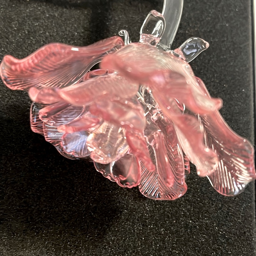 Waterford pink rose in original packaging.